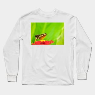 oli pollinators Long Sleeve T-Shirt